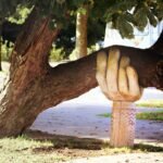 ACRN - Article - Empowering Communities - Michael Murray