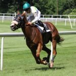 Racing Luck Unveiling the Thrills of Horse Betting at Saratoga Race Course